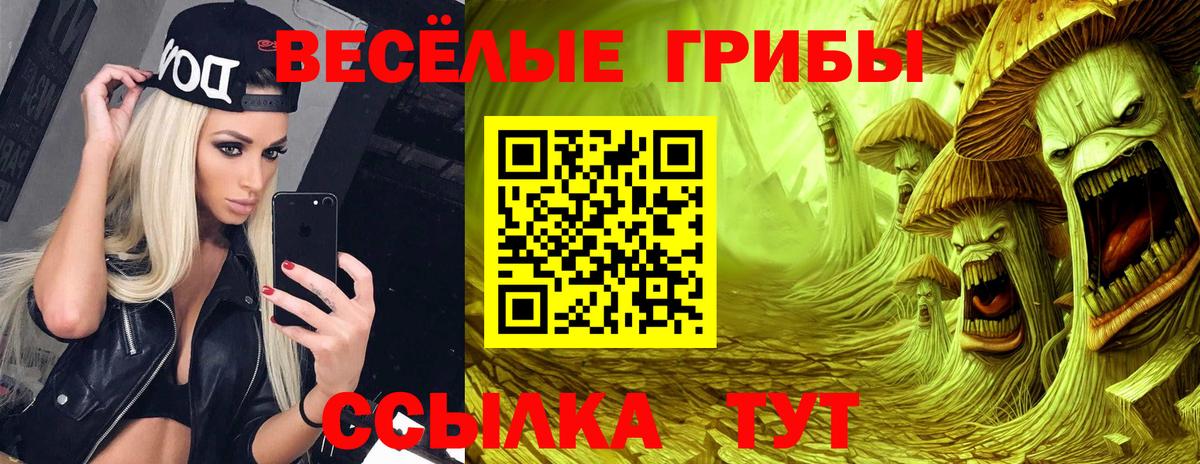 Галлюциногенные грибы ЛСД  Вход с VPN  Галлюциногенные грибы MAGIC MUSHROOMS  Петровск 