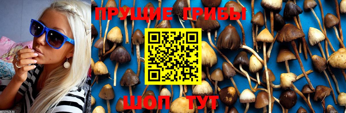 Галлюциногенные грибы MAGIC MUSHROOMS Петровск